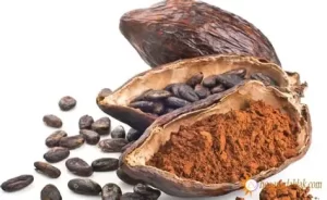 Bột Cacao Nguyên Chất - Thức Uống Bổ Dưỡng Cho Mọi Nhà