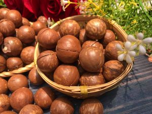 Hạt Macca Nứt Vỏ - "Nữ Hoàng Quả Khô" Tốt Cho Sức Khỏe