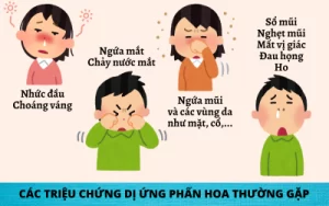 Dị ứng phấn hoa