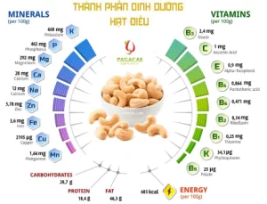 Tác dụng của hạt điều